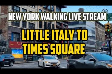 NYC LIVE Little Italy | Greenwich Village | Times Square