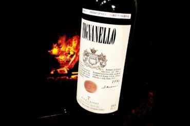 Luxury Italian Wine Tasting Highlights - Antinori #shorts