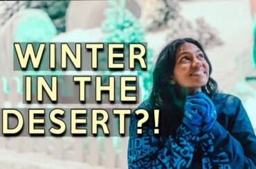 We did NOT expect this in the desert!