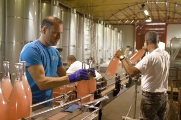 How Great Wines Are Made: Cantina Francone, Imbottigliamento