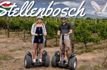 WHAT A DAY In Wine Country / Things to do in Stellenbosch South Africa
