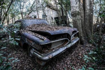I Found a Rare Classic Car Graveyard in the woods of the South