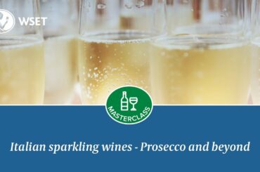 Italian sparkling wines - Prosecco and beyond