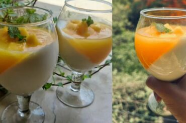 Italian Dessert Panna Cotta Recipe | Mango Panna Cotta Recipe |