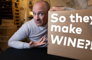 CRAZY WINE Making Countries - Master of Wine BLIND tastes wines from UNKNOWN wine countries.