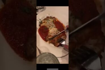 Chicken Parm Or Penne Al #pink2020 #italianfood #italian #petpov #whatsyourstuf #jakec 477