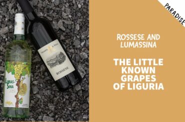 Lumassina and Rossese - The Little Known Grapes of Liguria, Italy