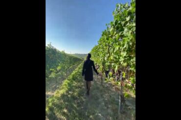 #langhe #vigneti #italy #wine #travelvlog #travel