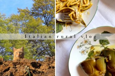Something new in the garden and enjoying two artichoke recipes | Italian rural vlog | Silent vlog