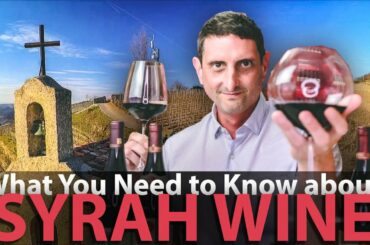 Essential Guide to Syrah Wine | What you need to know!