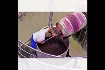 ANTHONIJ RUPERT WYNE & CAPE TOWN HOTEL SCHOOL (CPUT)