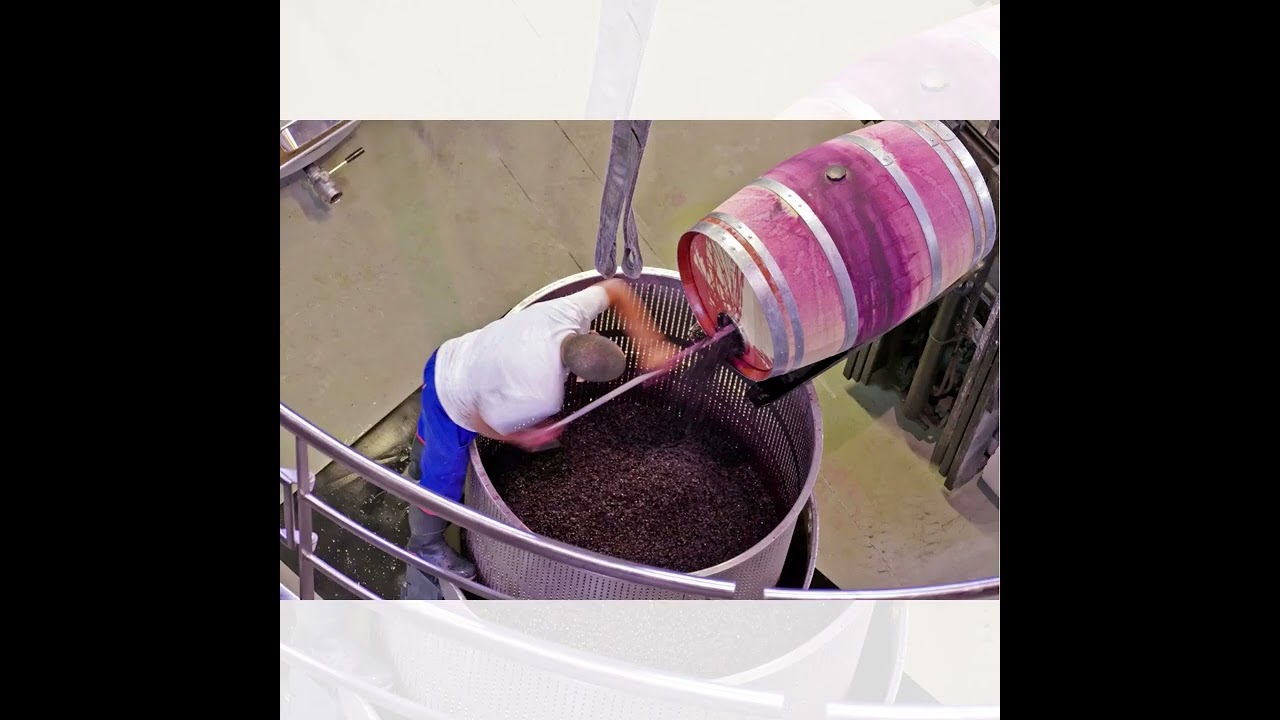 ANTHONIJ RUPERT WYNE & CAPE TOWN HOTEL SCHOOL (CPUT) ANTHONIJ RUPERT WYNE & CAPE TOWN HOTEL SCHOOL (CPUT)