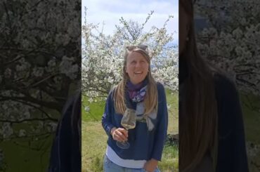 Italy: Pasta, Chocolate, Truffles & Wine