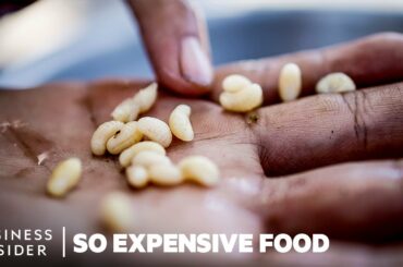 Why Ant Egg Caviar Is So Expensive | So Expensive Food