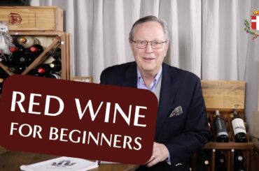 Top Red Wines for Beginners - You MUST Try These Easy-to-Drink Reds!