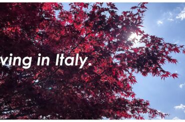 Living in Italy |  Bihu Feast |  Spring outing | Dayout with friends in Italy