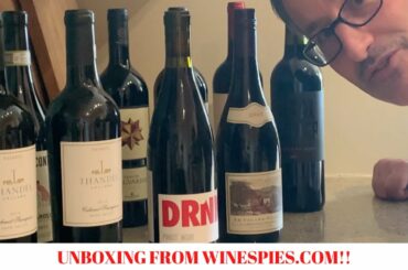 Unboxing My Wine Spies Shipment | Amazing Wines