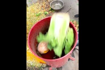 #shorts #sweet #smile #summer #nature #viral  #indianfood #happy #foodpic #italianfood #foodlovers