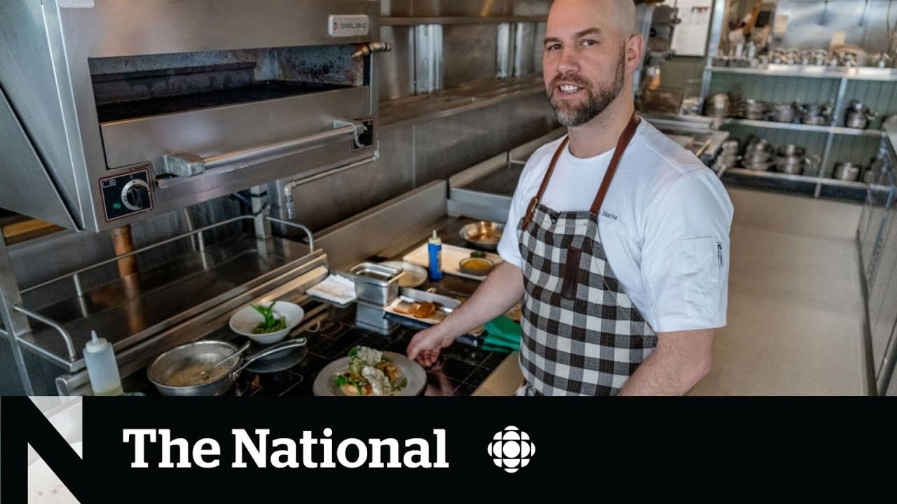 The debate over gas and induction stoves The debate over gas and induction stoves