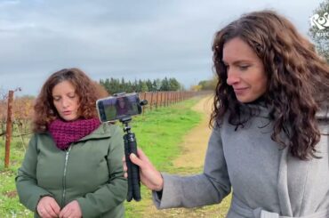 Pietraventosa Tasting Notes Spring 2022