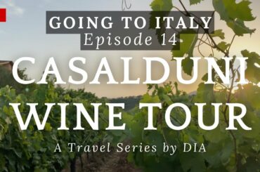 Casalduni Wine Tour at Terra di Briganti | Going to Italy: E14