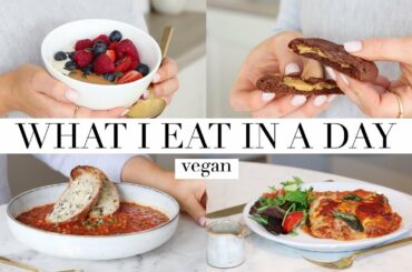 What I Eat in a Day #60 (Vegan) | JessBeautician