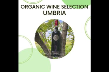 www.luvinoshop.com   CHOOSE LU VINO TO SUPPORT ITALIAN PRODUCERS #itala #italy #wine