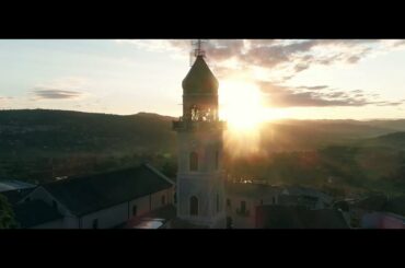 Harvest with Tenuta Cavalier Pepe