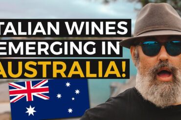 Italian Style Wines You Must Try in Australia!