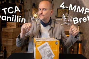 FLAWED WINE Blind Tasting - Master of Wine tastes Wines with added Aromas.