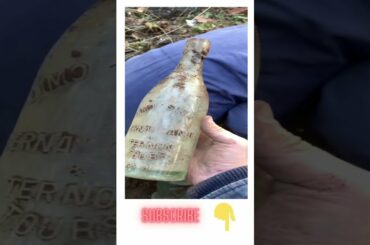 Rare French Wine Shorts