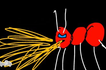 Among us ant gets Italian food (black vs red S3 part 4)