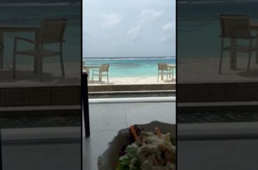 Healthy salad bowl |spicy food | Italian food | cheese pizza | pasta | Caesar salad | breakfast view