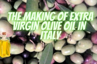 Making Olive Oil in Southern Italy