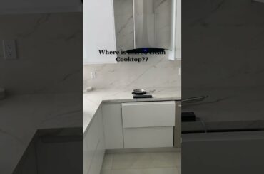 cooking modern | chainese food modern cook fanny