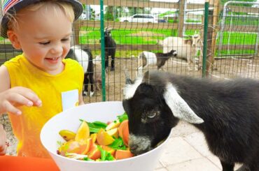 Chris and Mom feeding animals at the farm