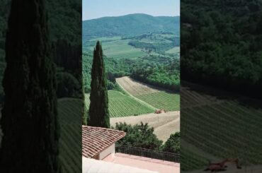 Breathtaking views from Verrazzano Winery, Tuscany Italy!