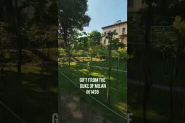 Italy, Leonardo DaVinci’s Vineyard, Milan #shorts