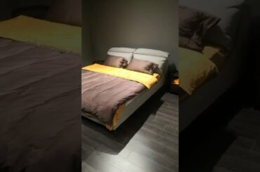 Minimalist style Home furniture interior design of Fabric Headboard queen size bed