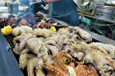 Italy Street Food. Massive Dose of Giant Grilled Octopus and 'Puccia' with Creamy 'Burrata' Cheese