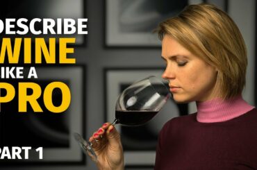 WINE TERMS: Describe Wine Like a PRO (Part 1)