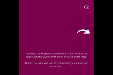 #xtraWineXperience episode 6: Tuscany