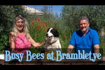 Busy Bees at Brambletye Restoring and Living in Abruzzo Italy