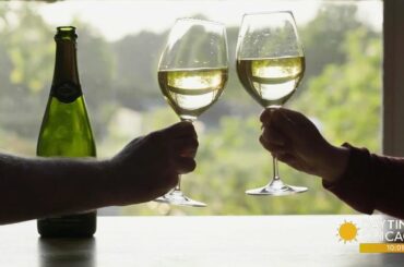 National Wine Day: Best Wines for Under $20