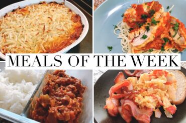 Meals of the Week #16 | What’s For Dinner | Easy Real Life Dinners | Simply Honest Living 2022