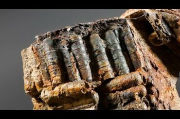 12 Most Incredible Ancient Artifacts Finds