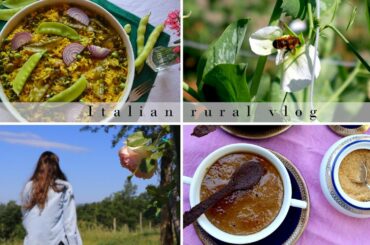 Two foreign inspired recipes: legumes, saffron, coffee, cardamom | Italian rural vlog | Slow living