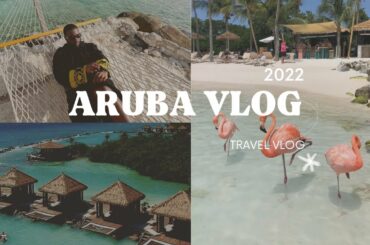 ARUBA 2022 VLOG | UTV TOUR, RENAISSANCE HOTEL, FLAMINGO BEACH, DINING, AND MORE...