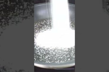 gzfoodqood#italianfood @giallozafferano#shorts#short#ytshorts#youtubshorts(3)