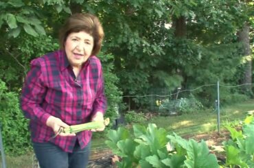 The Vegetable with Nine Lives!